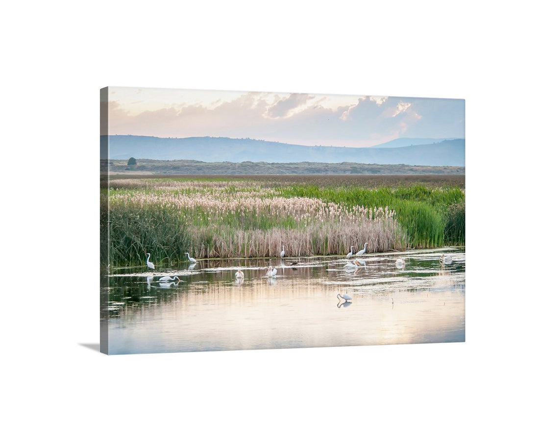 Waterbird Art Print with Pelicans and Egrets in Wetlands Landscape