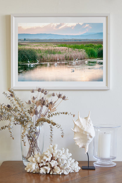 Waterbird Art Print with Pelicans and Egrets in Wetlands Landscape