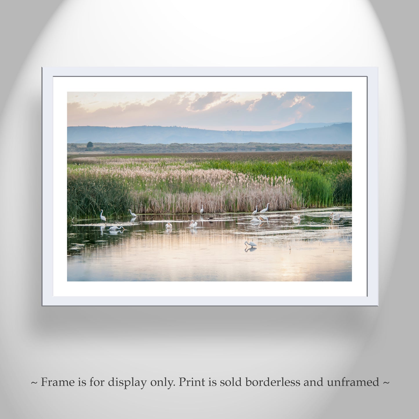 Waterbird Art Print with Pelicans and Egrets in Wetlands Landscape