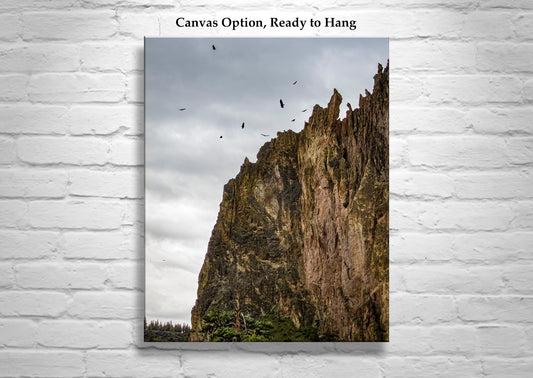 Smith Rock State Park Central Oregon Desert Art with Soaring Hawks