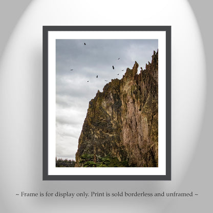 Smith Rock State Park Central Oregon Desert Art with Soaring Hawks