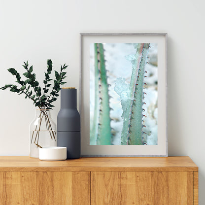 Winter Desert Agave Print as Botanical Art | Tucson Arizona