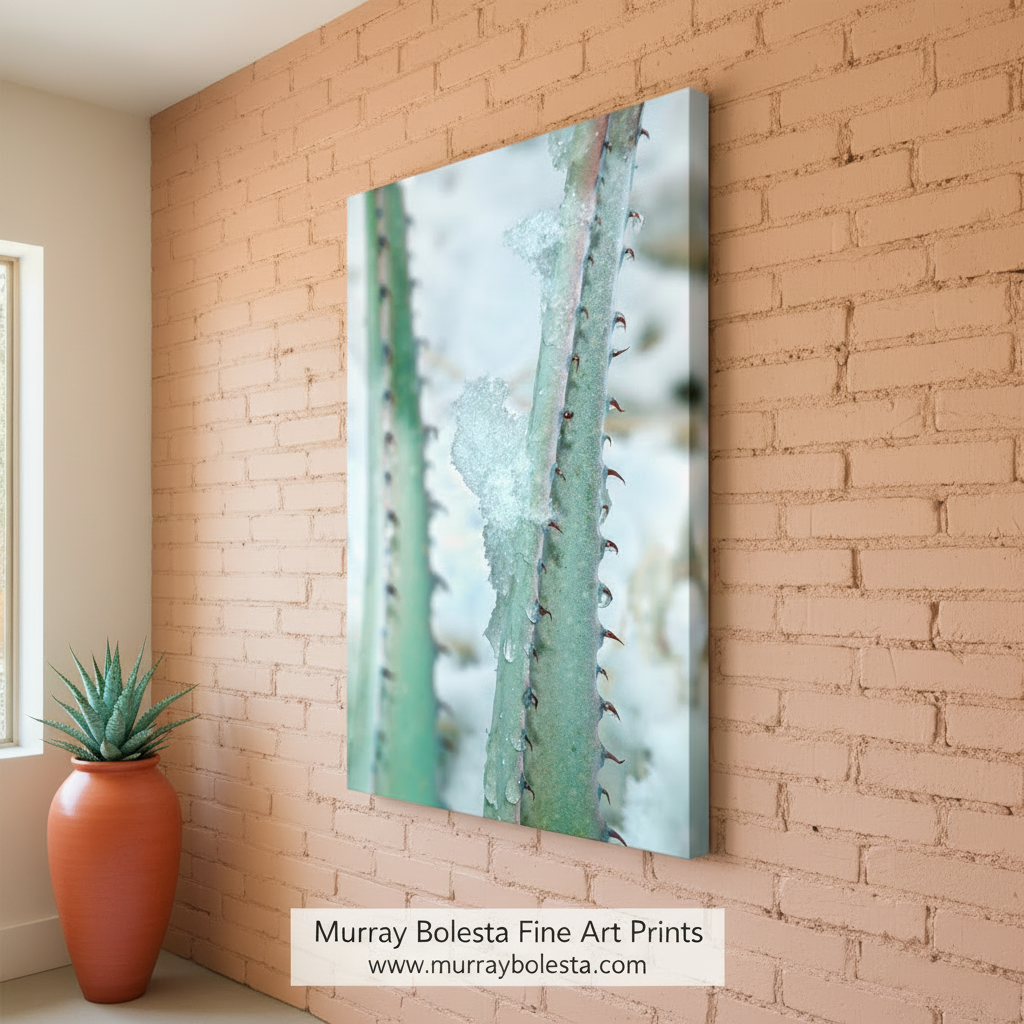 Winter Desert Agave Print as Botanical Art | Tucson Arizona by Murray Bolesta