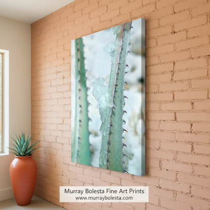 Winter Desert Agave Print as Botanical Art | Tucson Arizona by Murray Bolesta