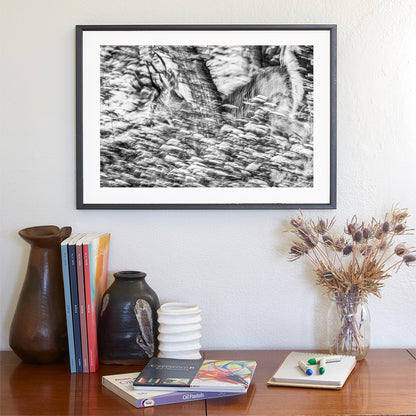 Abstract Black & White Winter Buck Deer in Snowy Forest