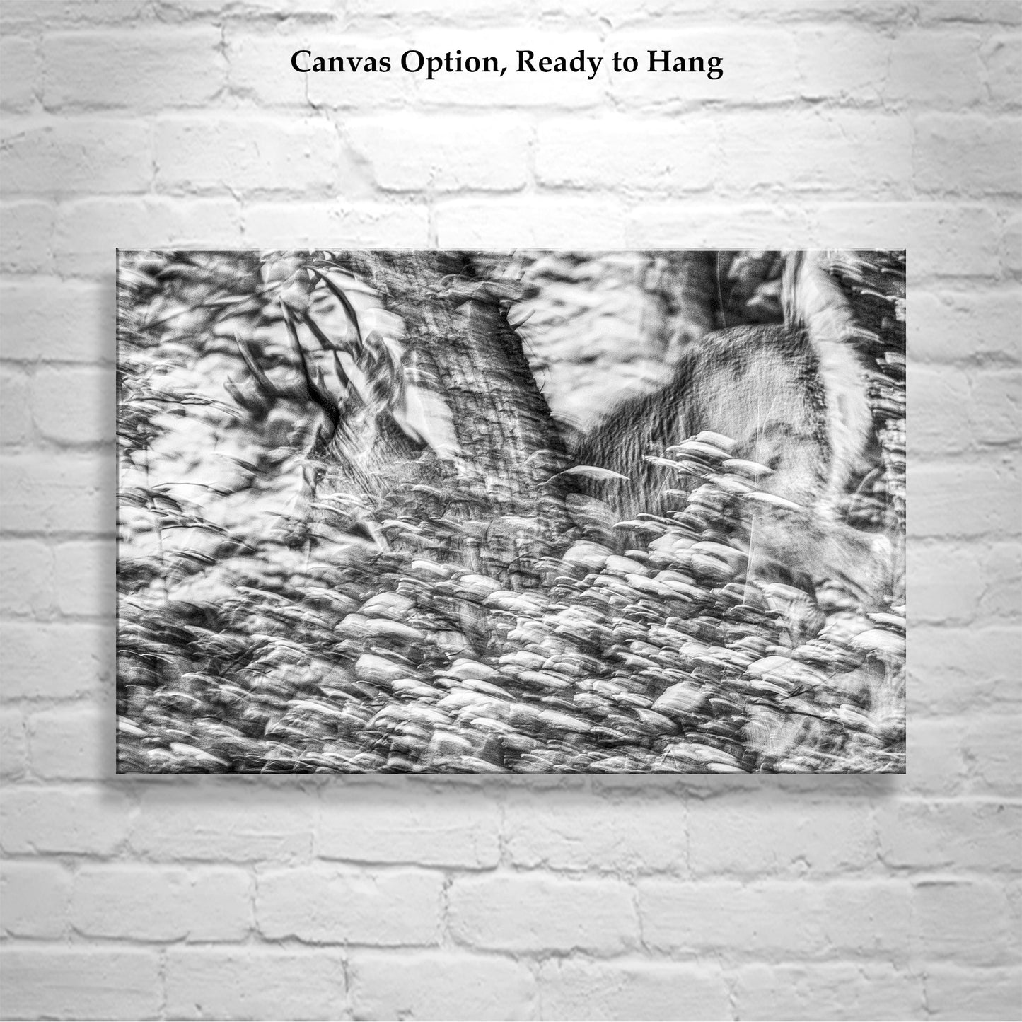 Abstract Black & White Winter Buck Deer in Snowy Forest