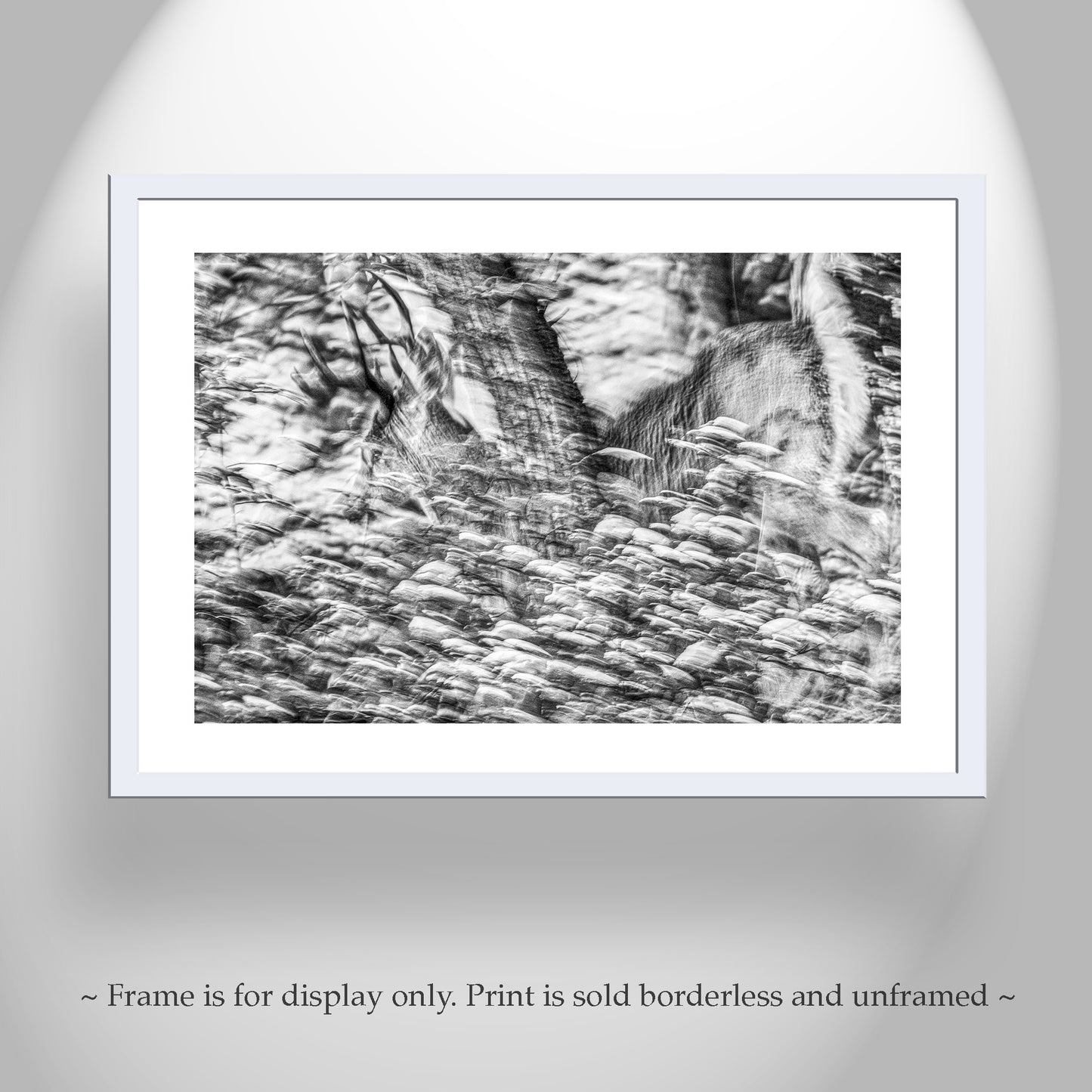 Abstract Black & White Winter Buck Deer in Snowy Forest