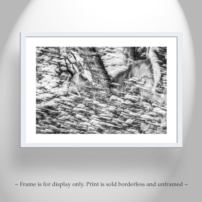 Abstract Black & White Winter Buck Deer in Snowy Forest