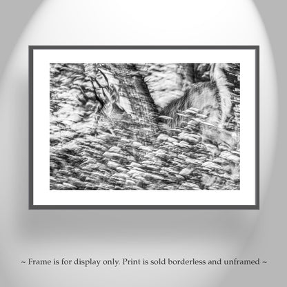 Abstract Black & White Winter Buck Deer in Snowy Forest