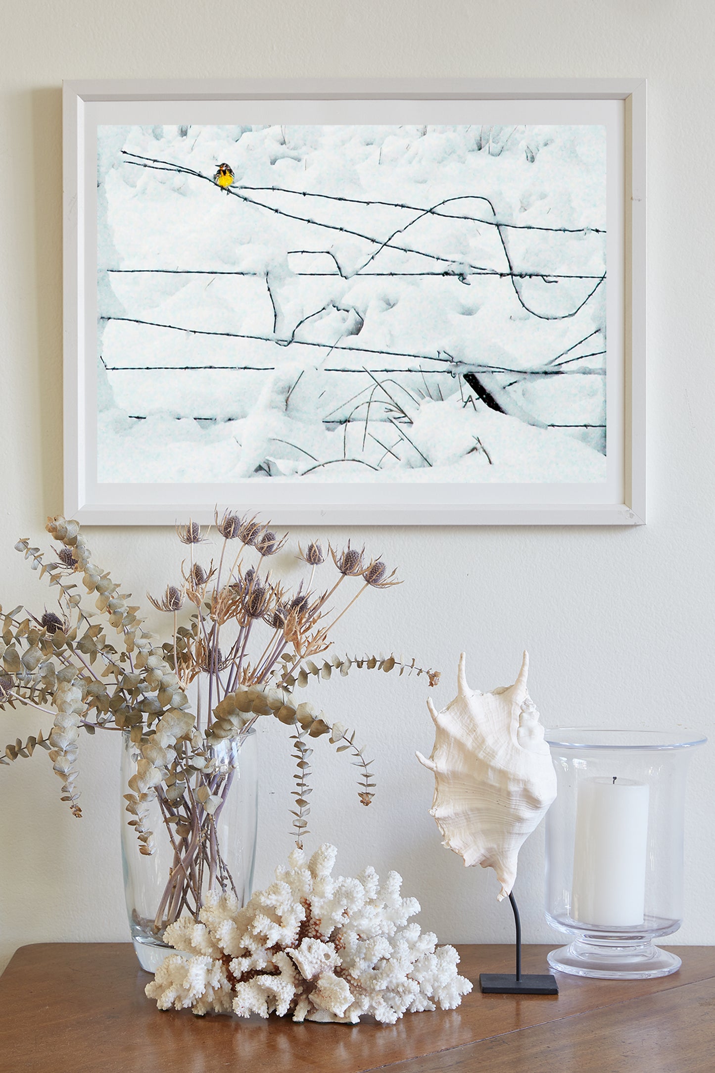 Winter Bird on a Barbed Wire Fence Fine Art Nature Print