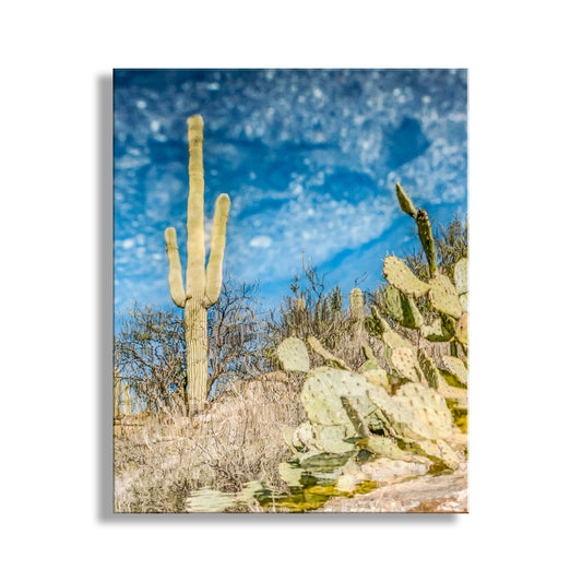 Abstract Desert Nature Photography – Saguaro Cactus Water Reflection