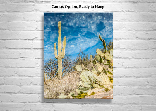 Abstract Desert Nature Photography – Saguaro Cactus Water Reflection