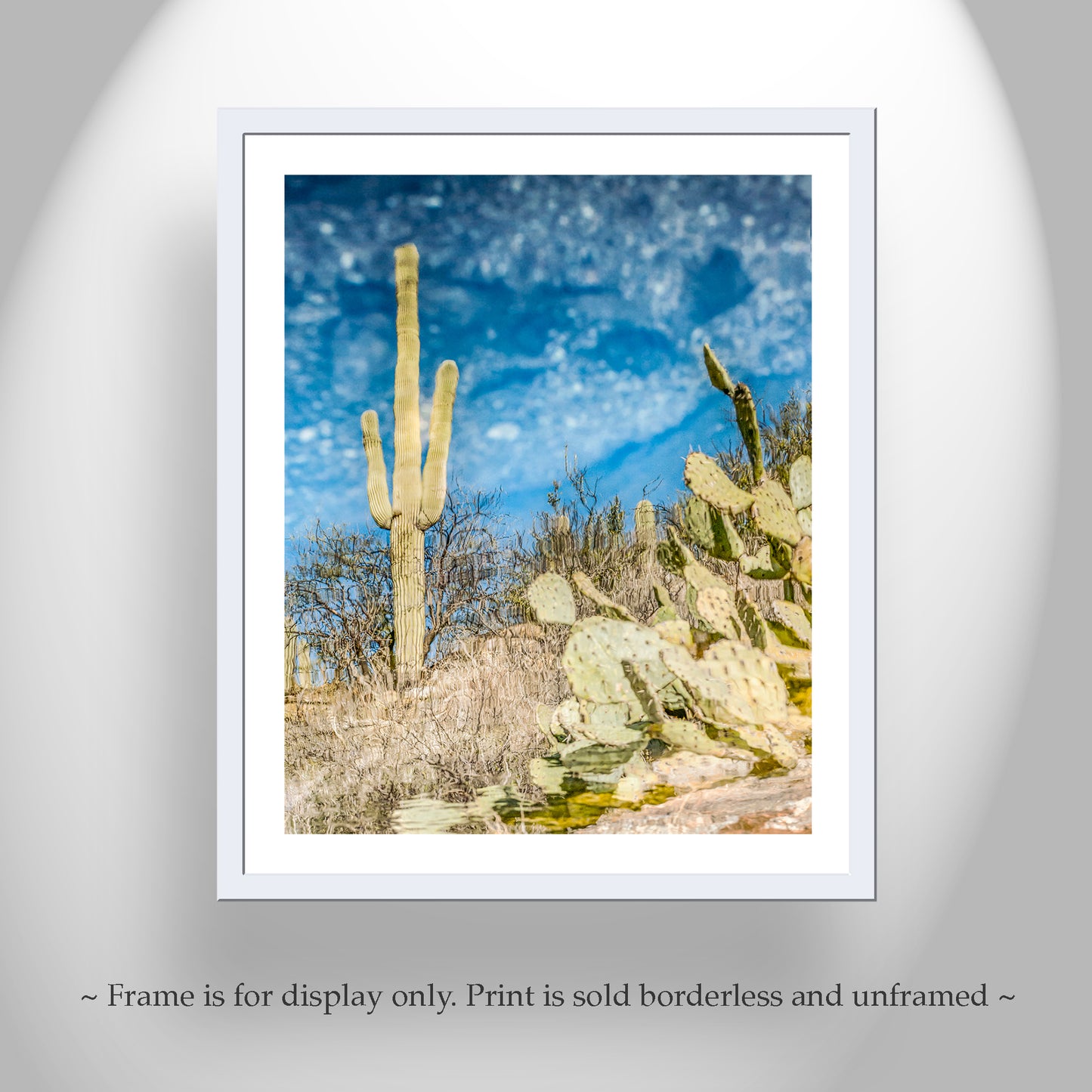 Abstract Desert Nature Photography – Saguaro Cactus Water Reflection