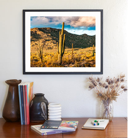 Tucson Mountain Park Art Print | Arizona Desert Landscape Photo