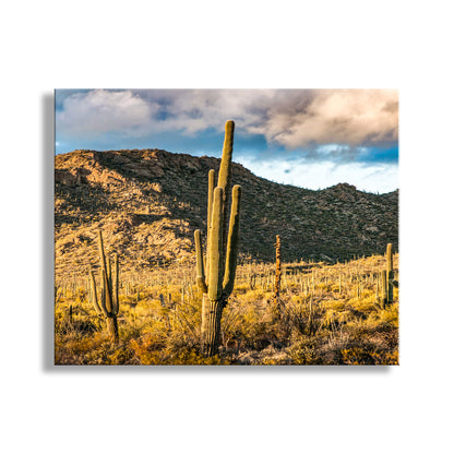 Desert landscape with cacti and mountains under a blue sky with clouds. Home Decor with Southwestern Landscape at Tucson Mountain Park Arizona