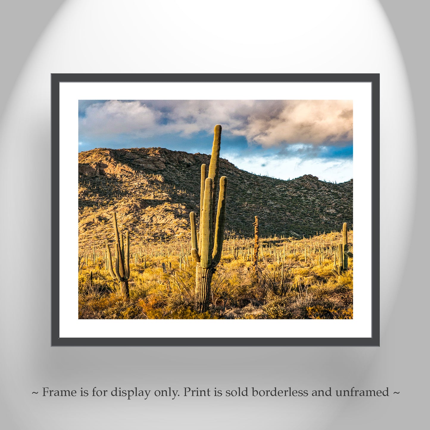 Tucson Mountain Park Art Print | Arizona Desert Landscape Photo