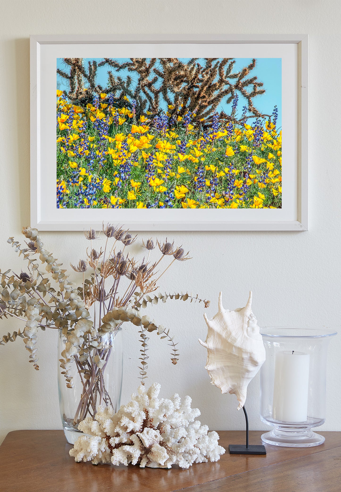 Yellow Poppy Flowers and Cholla Cactus at Picacho Peak Arizona Desert