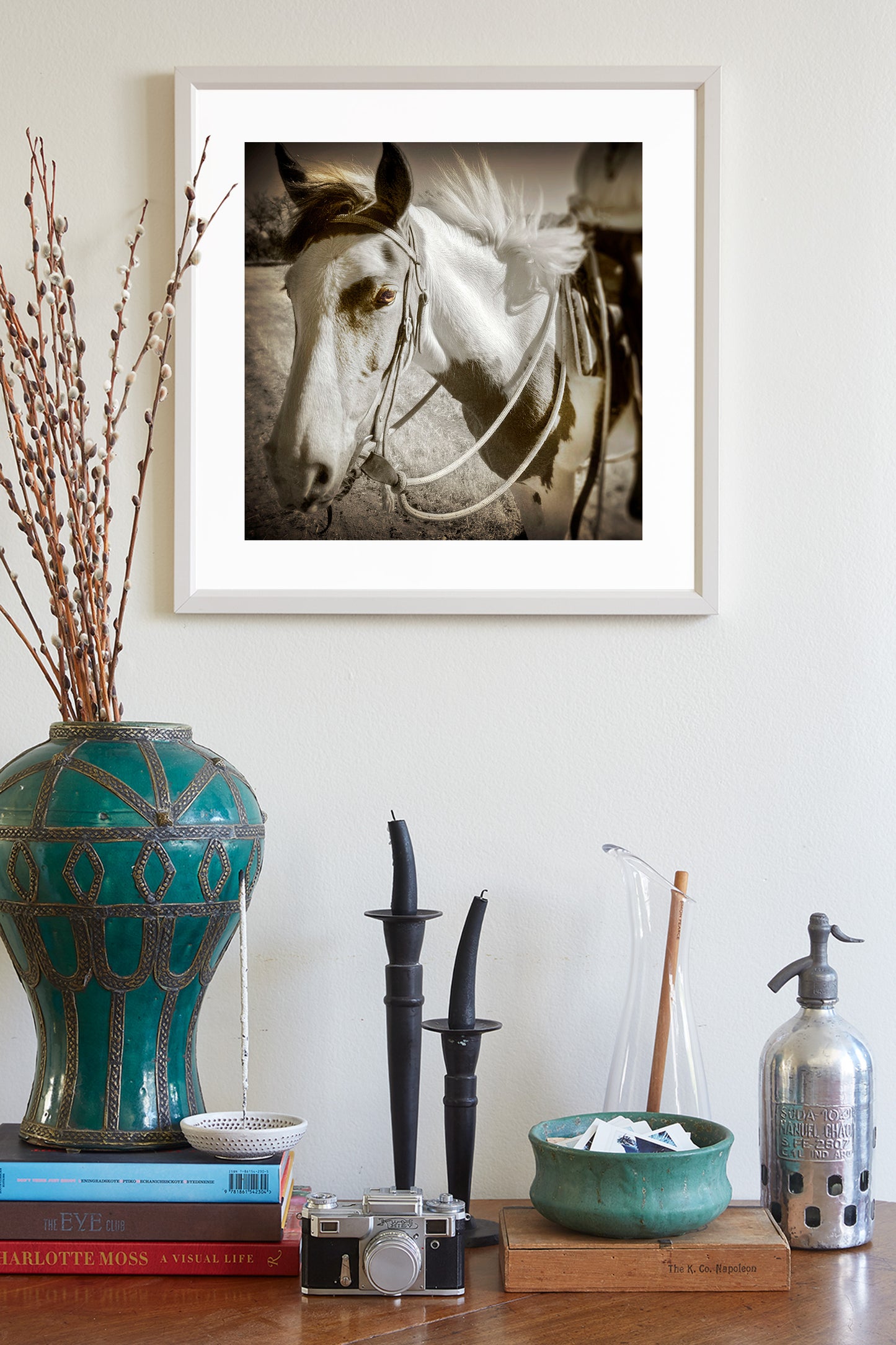 Spanish Barb Horse Fine Art Print | Equine Photography