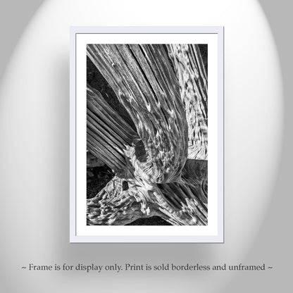 Black and White Desert Cactus Spines Abstract Art in Tucson Arizona