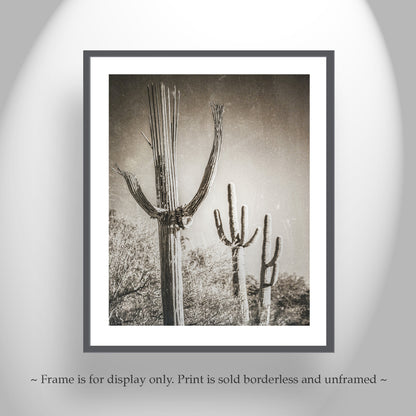 Desert Wall Decor with Sepia Cactus Art | Framed Art Print Gift | Rustic Southwestern Decor in Vintage Style
