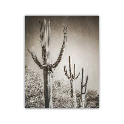 Desert Wall Decor with Sepia Cactus Art | Framed Art Print Gift | Rustic Southwestern Decor in Vintage Style