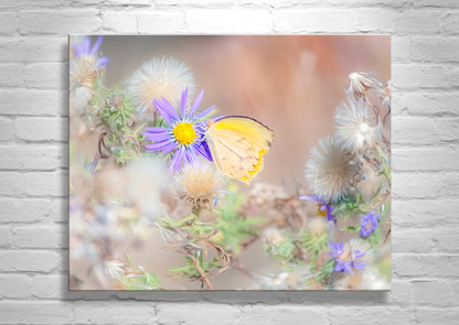 Dandelion and Pastel Wildflower Art Photo with Yellow Butterfly