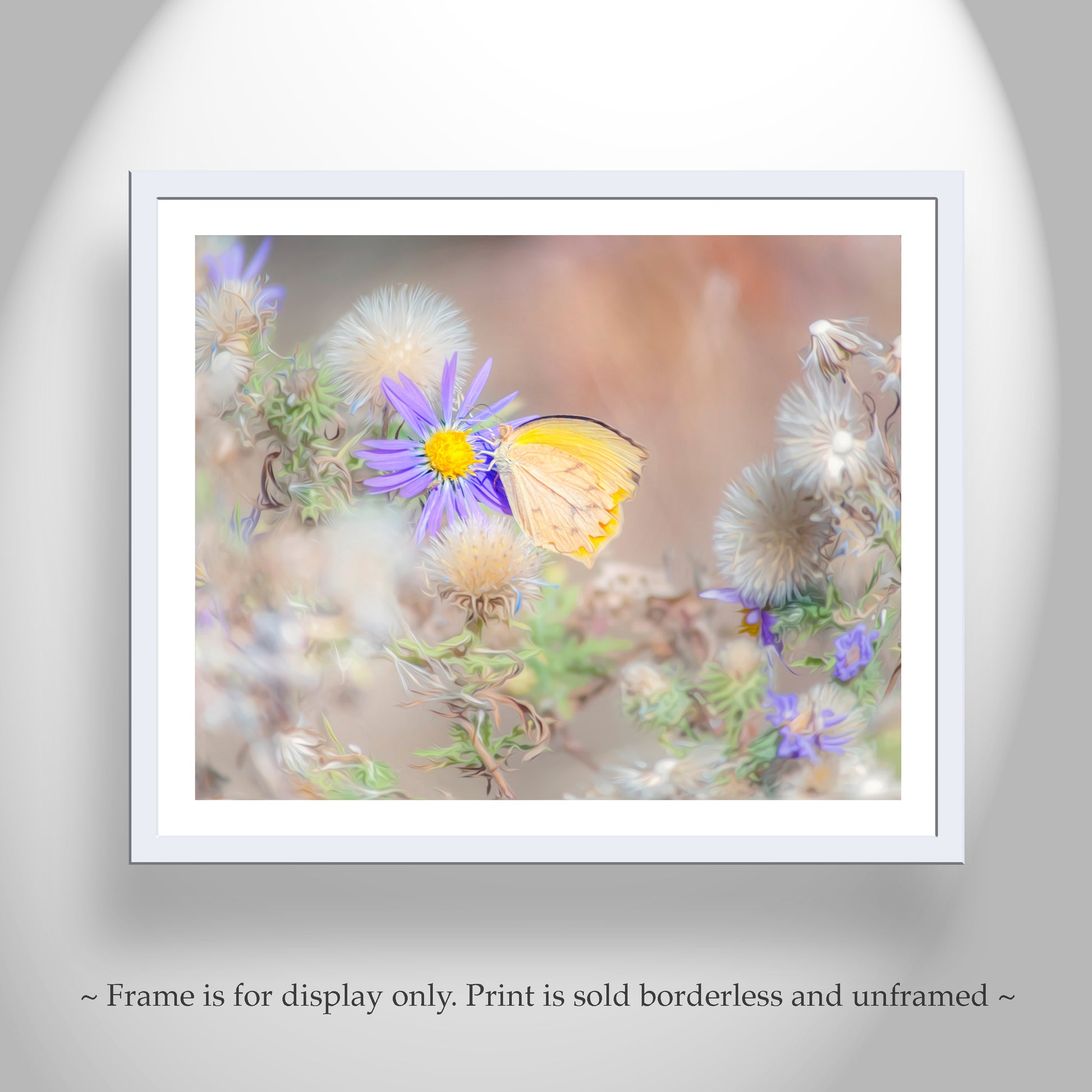 Framed artwork of a butterfly on a flower with a blurred background. Dandelion and Pastel Wildflower Art Photo with Yellow Butterfly