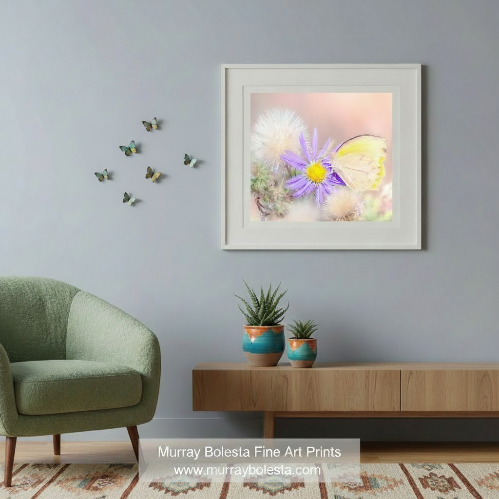 Dandelion & Butterfly Nature Photography in Pastel from Madera Canyon Arizona by Murray Bolesta