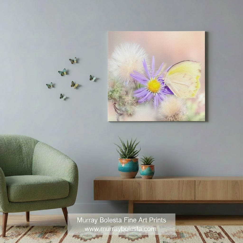 Butterfly by Murray Bolesta