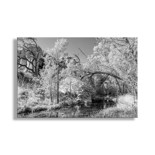 Arizona Desert Canyon Stream Oasis Art in Black and White