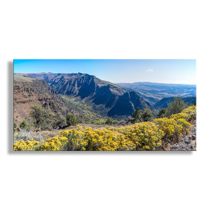 a breathtaking view of a mountainous landscape, with rugged mountains and valleys stretching out into the distance. The foreground is adorned with vibrant yellow flowers, adding a touch of color to the otherwise earthy tones of the scene. The sky above is a clear blue, providing a beautiful backdrop to the natural beauty of the landscape. Steens Mountain Panorama Art | Eastern Oregon Landscape Photo