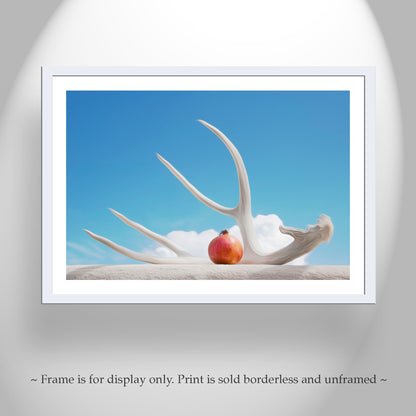 Fine Art Surreal Still Life – Deer Antler & Pomegranate Print