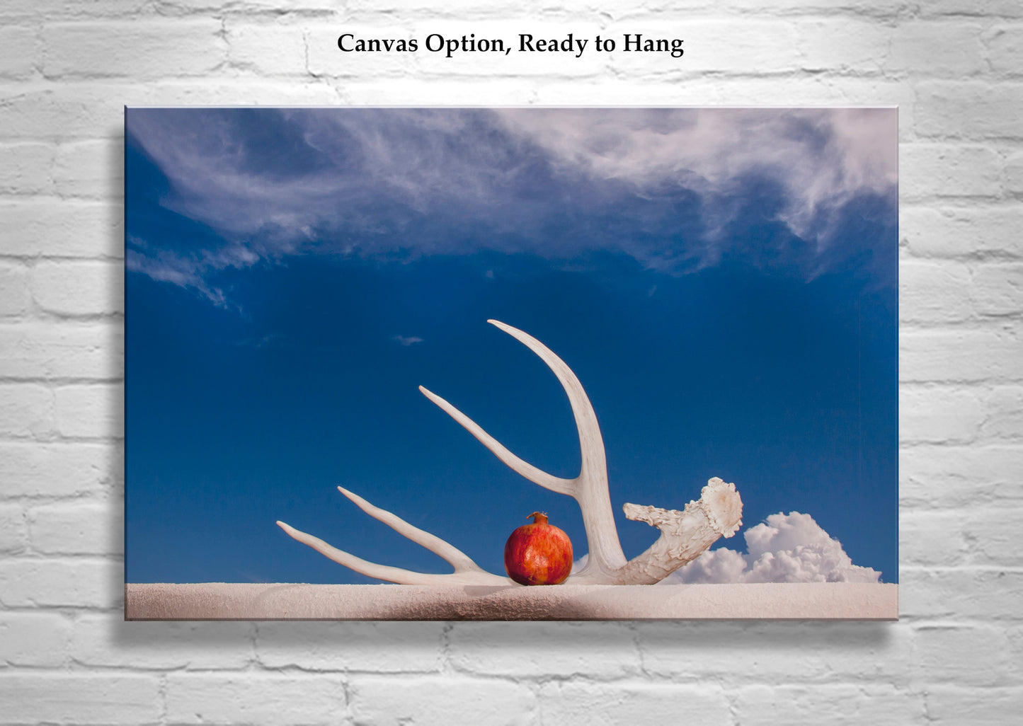 Fine Art Still Life with Deer Antler & Pomegranate | Tucson Az