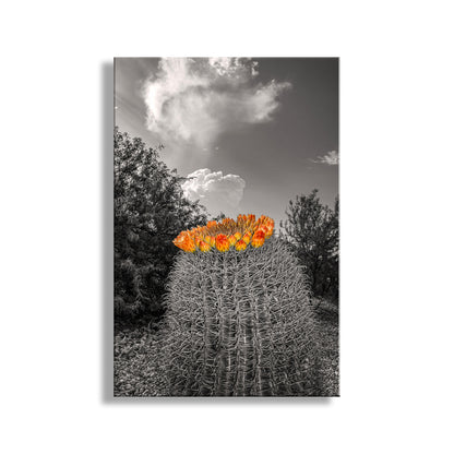 Desert Sky Art Print with Barrel Cactus as Unique Southwest Decor