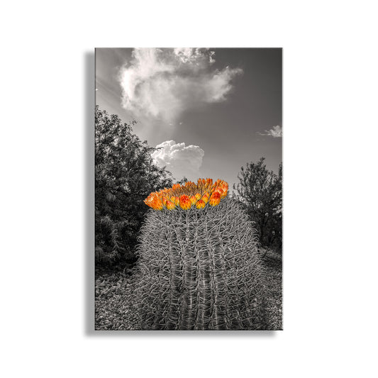 Desert Sky Art Print with Barrel Cactus as Unique Southwest Decor