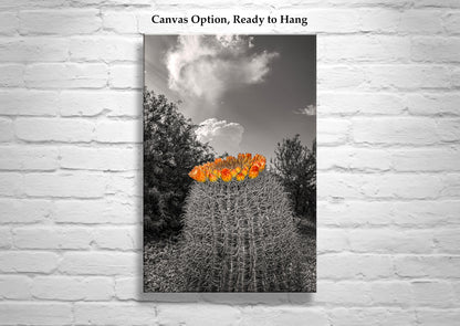 Desert Sky Art Print with Barrel Cactus as Unique Southwest Decor