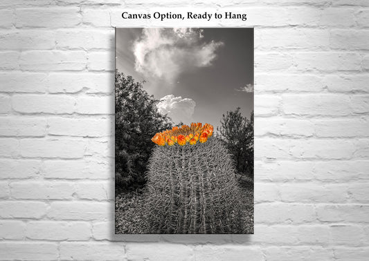 Desert Sky Art Print with Barrel Cactus as Unique Southwest Decor
