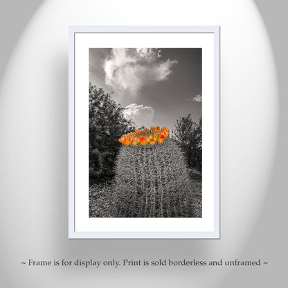 Desert Sky Art Print with Barrel Cactus as Unique Southwest Decor