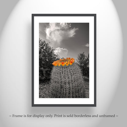 Desert Sky Art Print with Barrel Cactus as Unique Southwest Decor