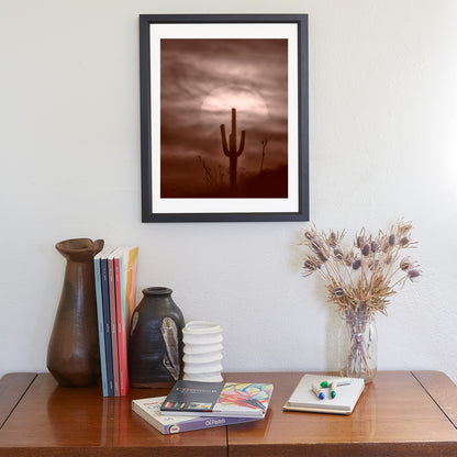 Desert Cactus Sunset as Southwest Design | Tucson Landscape Art