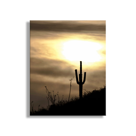 Desert Sunset Art with Arizona Cactus as Southwestern Decor
