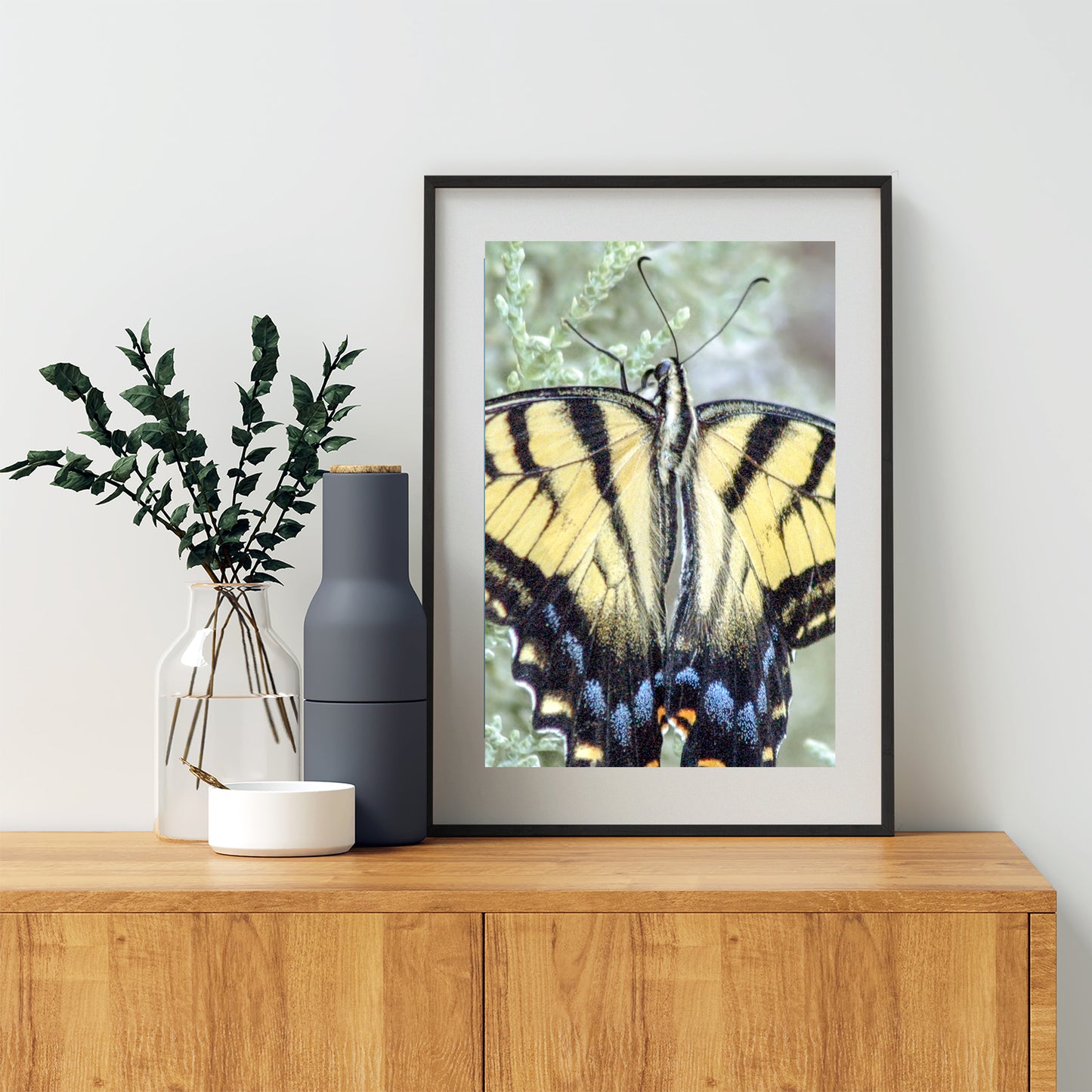 Swallowtail Butterfly Photograph by Murray Bolesta as Bold Vibrant Nature Print
