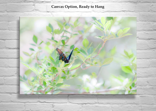 Pastel Green Nature Print with Swallowtail Butterfly | Sycamore Canyon