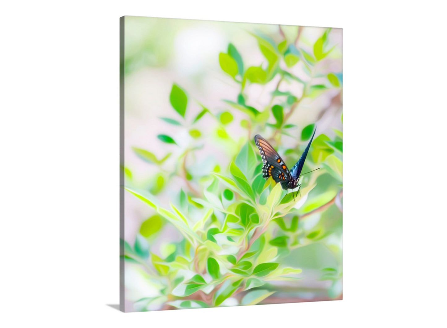 Swallowtail Butterfly Picture as Peaceful Nature Art in Pastel Green