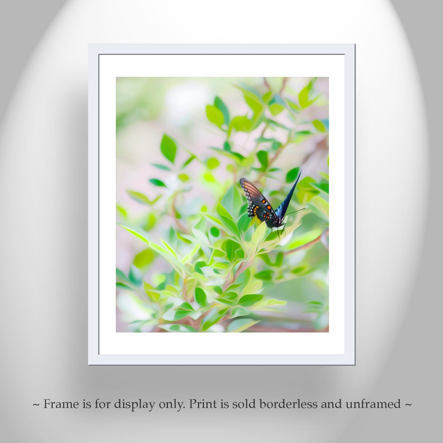 Swallowtail Butterfly Picture as Peaceful Nature Art in Pastel Green