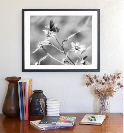 Black & White Butterfly Art | Elegant Swallowtail on Sunflower