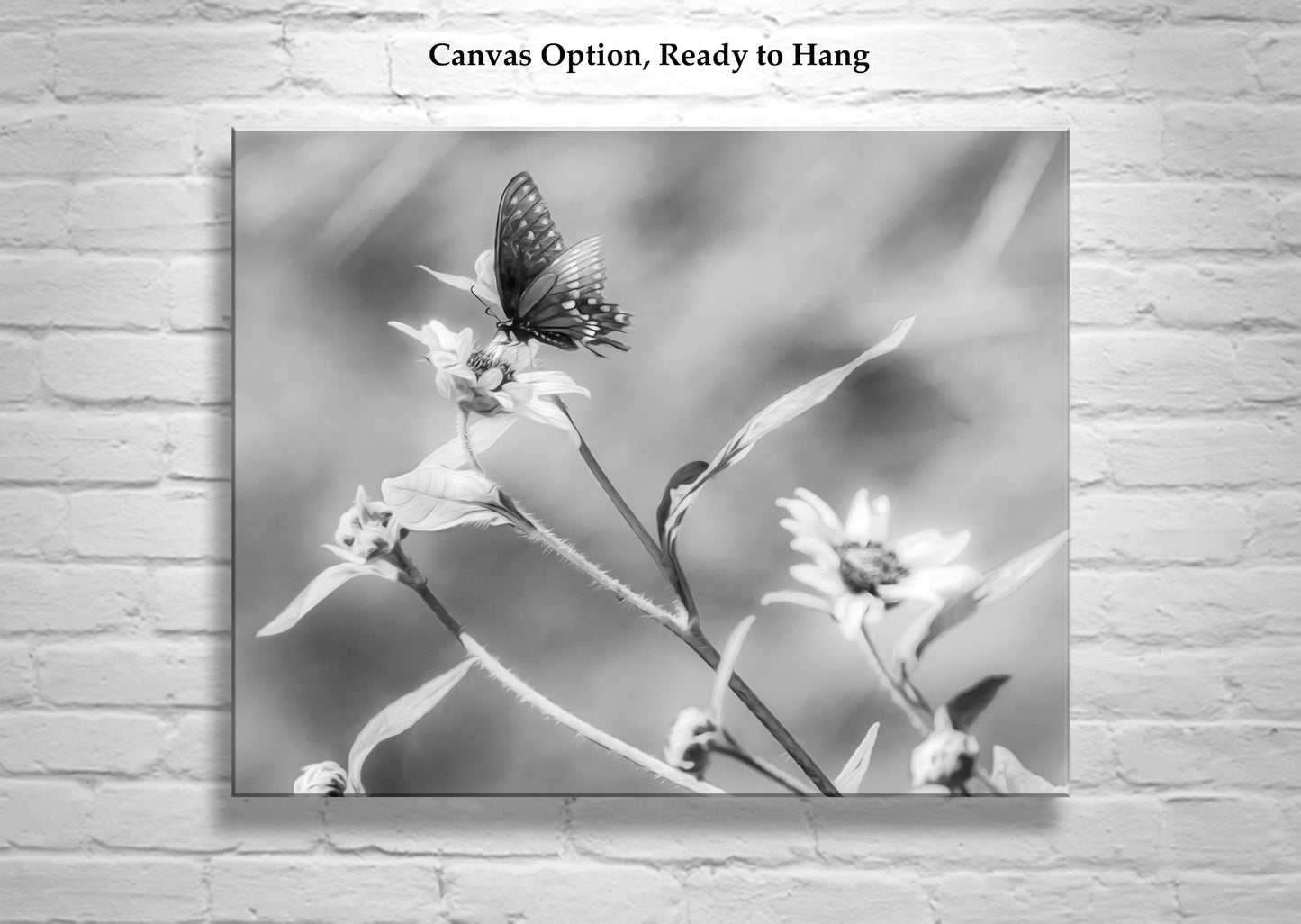 Black & White Butterfly Art | Elegant Swallowtail on Sunflower