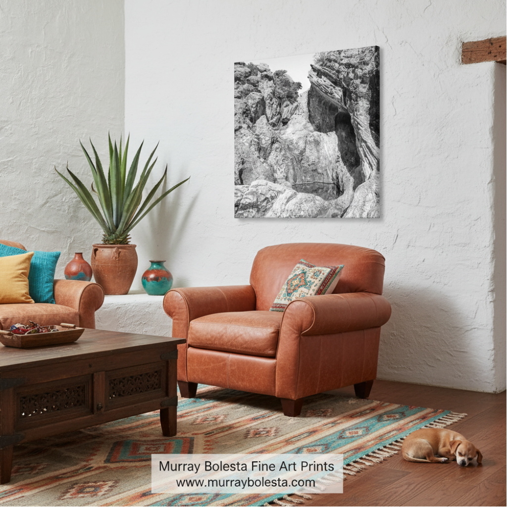 Black and White Arizona Desert Canyon Pool Art Print | Square Picture by Murray Bolesta