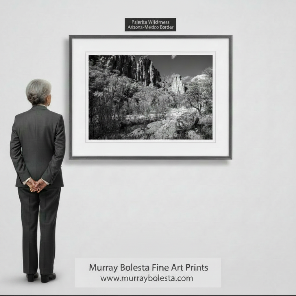 A black and white arizona canyon photograph depicting a rugged, rocky landscape with towering cliffs, trees, and a small stream in the foreground. Sycamore Canyon Arizona by Murray Bolesta