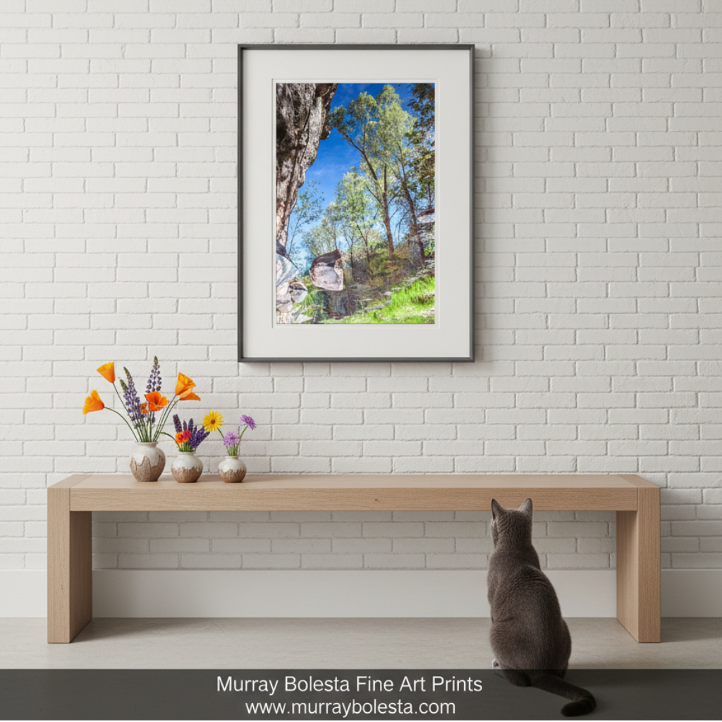 Arizona Canyon Creek Oasis Art Print | Abstract Water Reflection Photo by Murray Bolesta!
